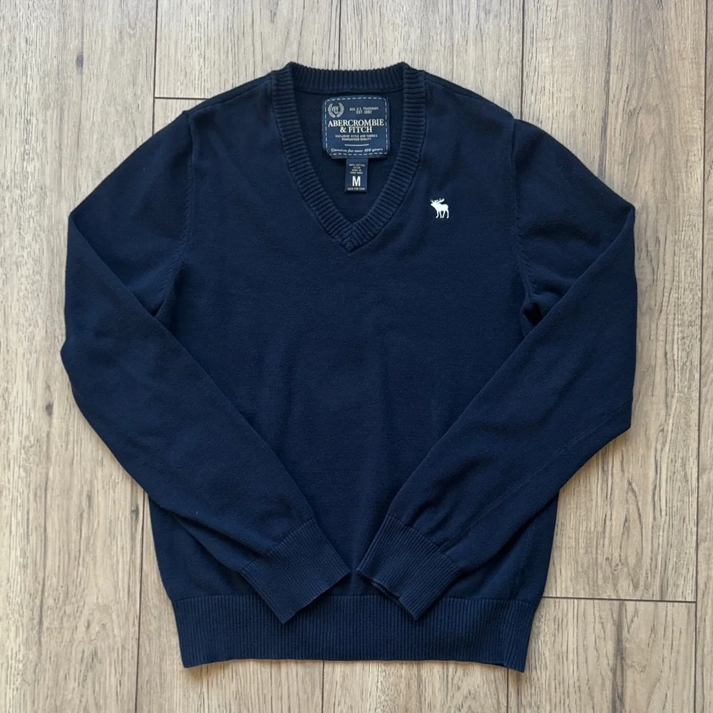 Abercrombie & Fitch Men's V-Neck Sweater Blue Medium 2000s Classic Moose Logo